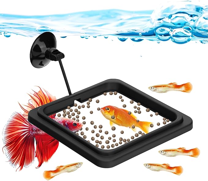 Fish Feeding Ring Aquarium Square Floating Food Feeder Circle by DaToo