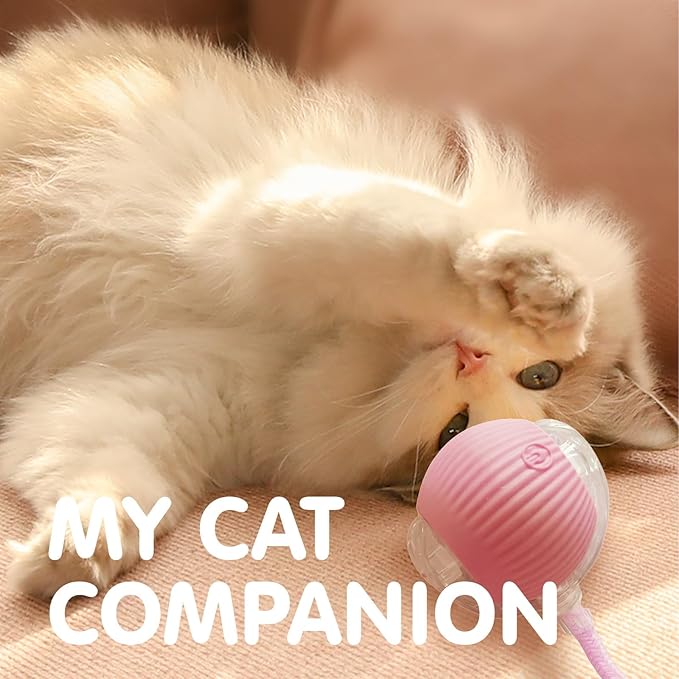 Rocfish Durable Interactive Cat Toys - Image 8