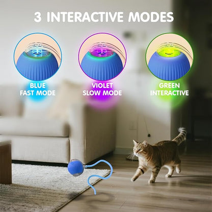 Rocfish Durable Interactive Cat Toys - Image 4