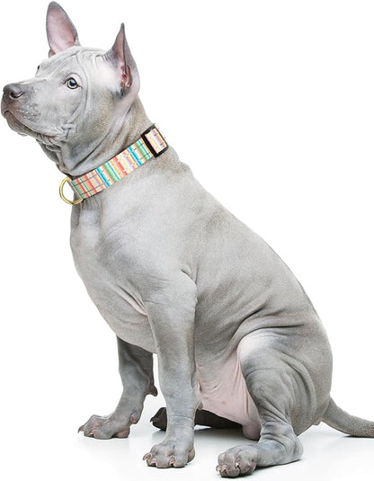 Reflective Dog Collar, Cute Dog Collar - Image 2