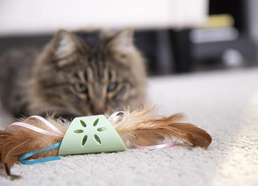 SmartyKat Flutter Roller Feather & Ribbon Chase Cat Toy - Image 2
