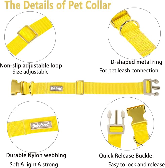 Nylon Dog Collar - Image 4
