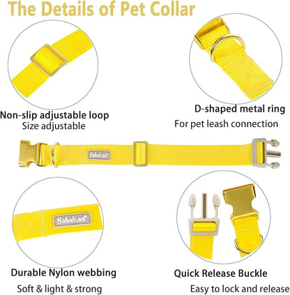 Nylon Dog Collar - Image 4