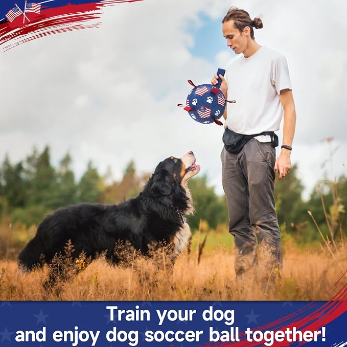 QDAN Dog Toys, Soccer Ball - Image 2
