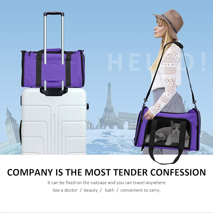 Henkelion Large Cat Carriers Dog Carrier Pet Carrier - Image 6