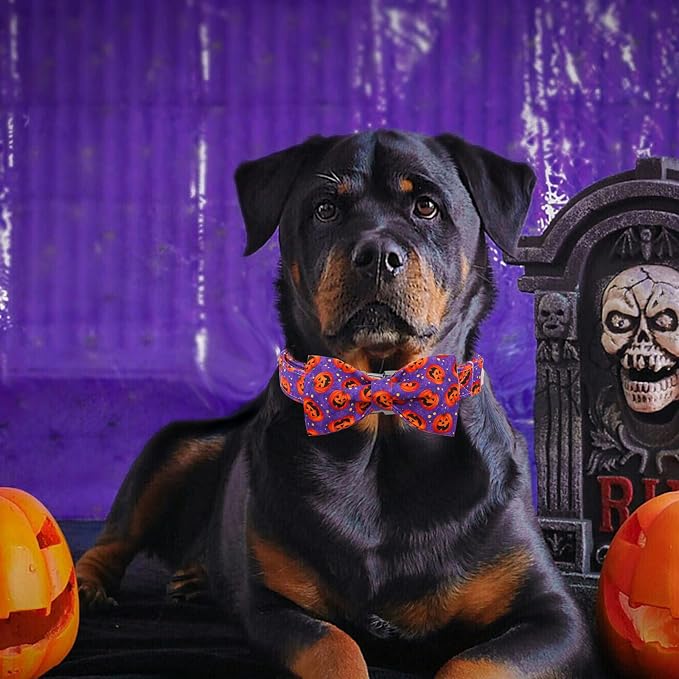 Dog Collar - Halloween Pumpkin Bowtie Pet Collar Gift Soft Bow Collar Pet - Image 5