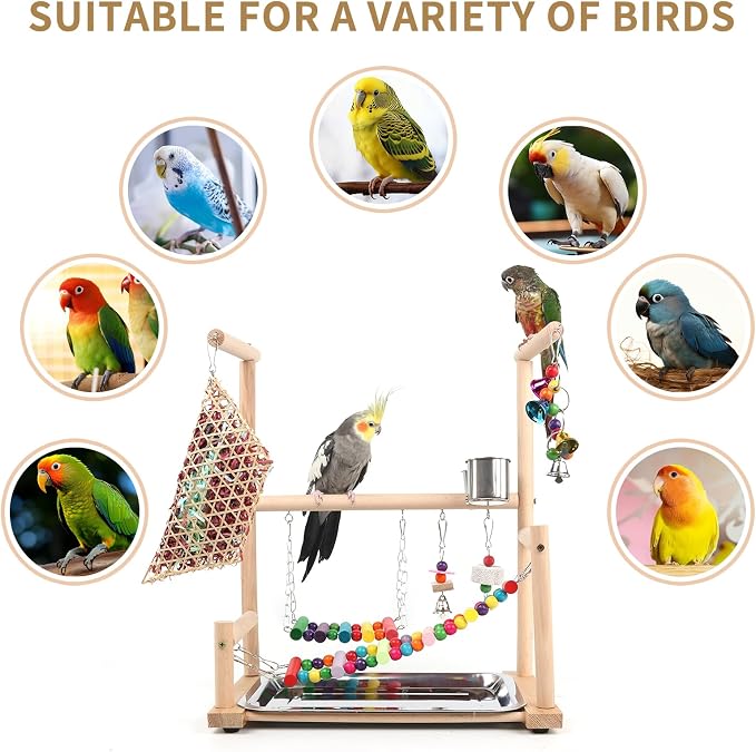 Bird Playground, Playstand for Parrot Cage Accessories - Image 4