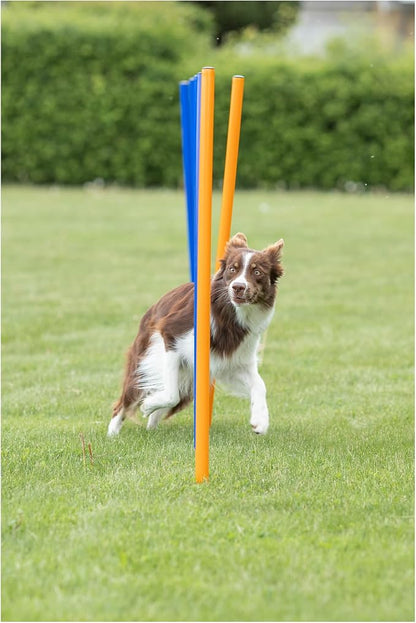 Trixie Dog Agility Slalom Course - Image 6