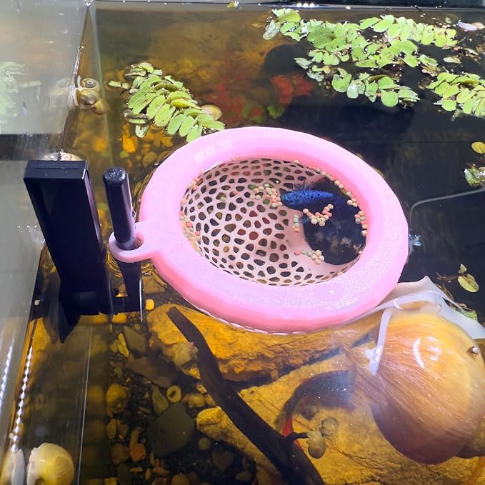Fish Tank Floating Betta Hide，Betta or Shrimp Burrows and Hammock, Fish and by HOZOE