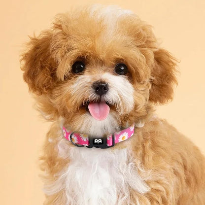 QQPETS Adjustable Soft Dog Collar: Print Flower Pink Multicolor Cute Patterns - Image 5