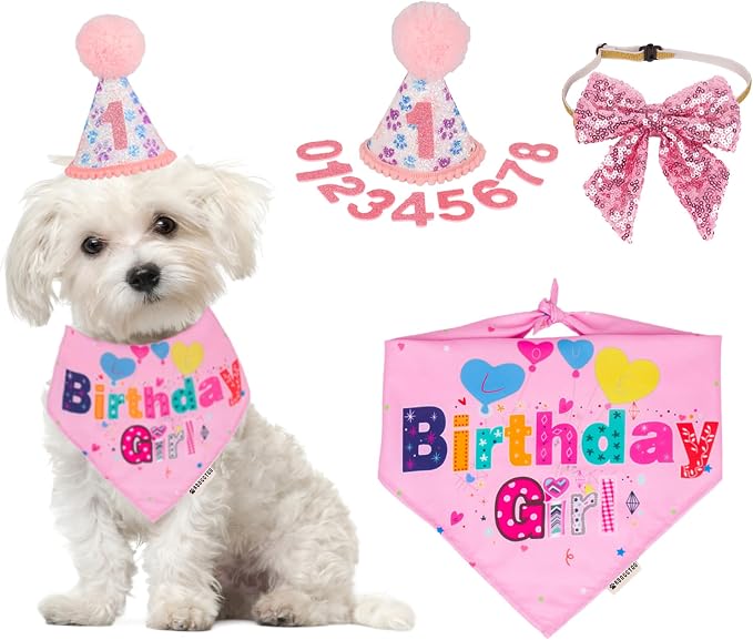 ADOGGYGO Dog Birthday Party Supplies by ADOGGYGO