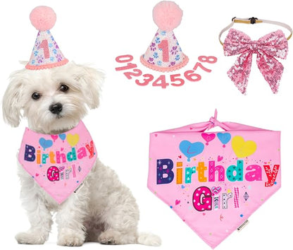 ADOGGYGO Dog Birthday Party Supplies by ADOGGYGO