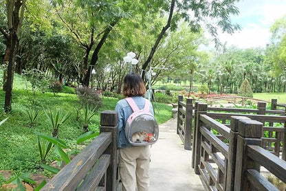 Small Animal Carrier Guinea Pig Backpack, Transparent, Breathable Backpack - Image 6