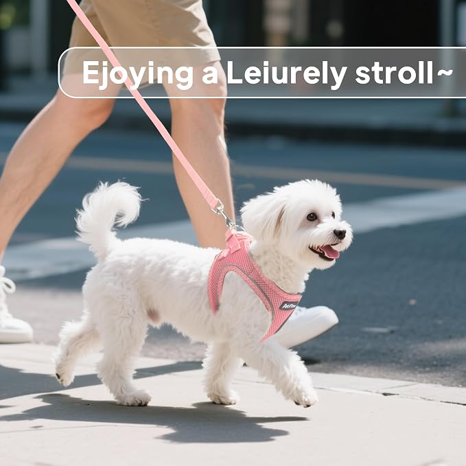 PetiFine Step in Small Dog Harness and Leash Set, Breathable All Weather Air - Image 7