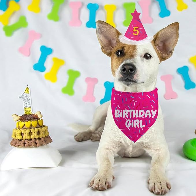 Dog Birthday Bandana Set, Rose Pink Birthday Girl Decorations, HBD Party - Image 5