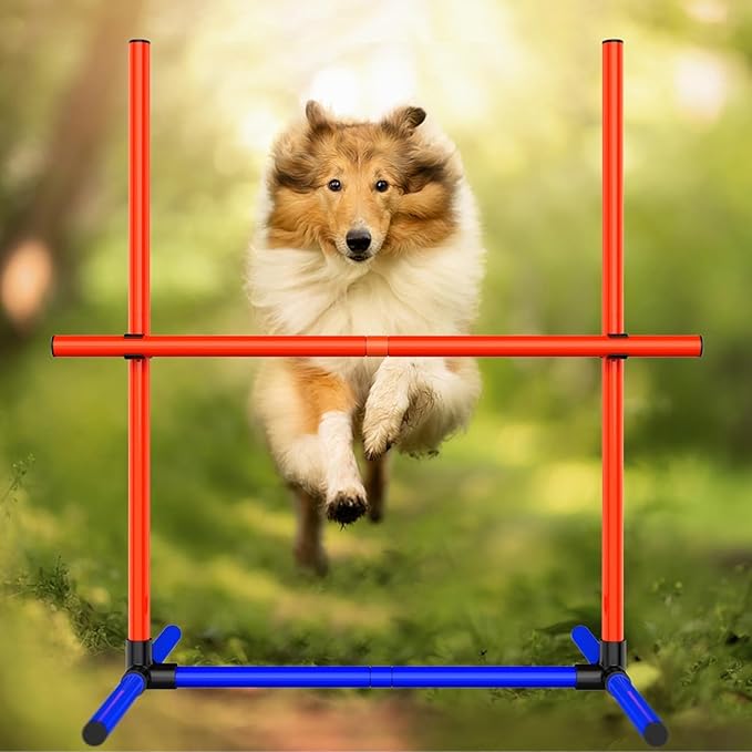 Dog Agility Equipment - Image 5