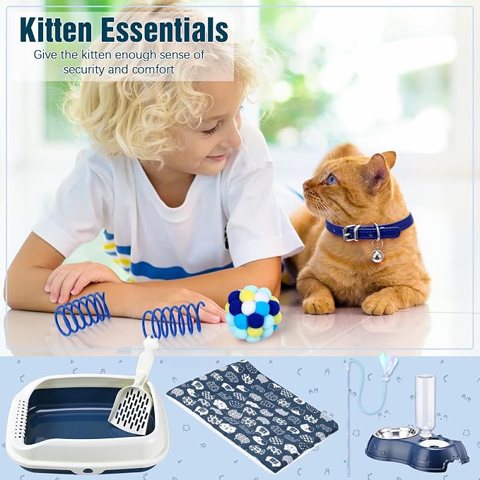 Eccliy Kitten Starter Kit, Pet Toy, Folding Carrier, Climbing Frame, Automatic - Image 4