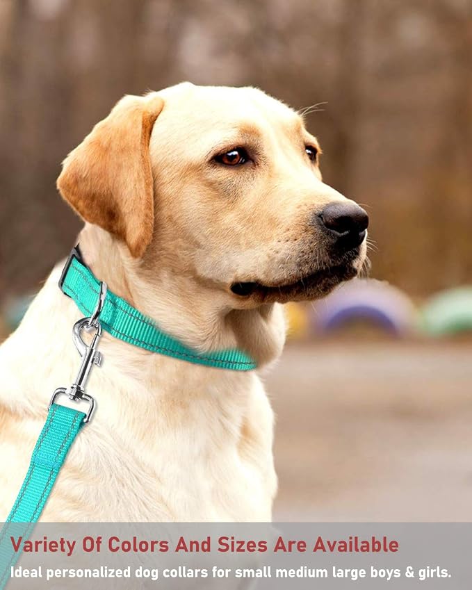 Reflective Dog Collar with Buckle Adjustable Safety Nylon Collars - Image 7