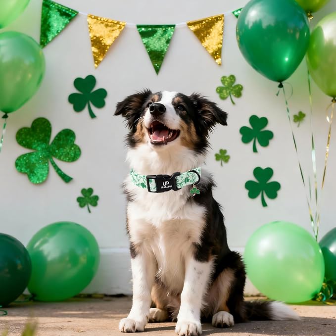 St. Patrick's Day Dog Collar, UP URARA PUP Shamrock Adjustable Pet Collar - Image 6