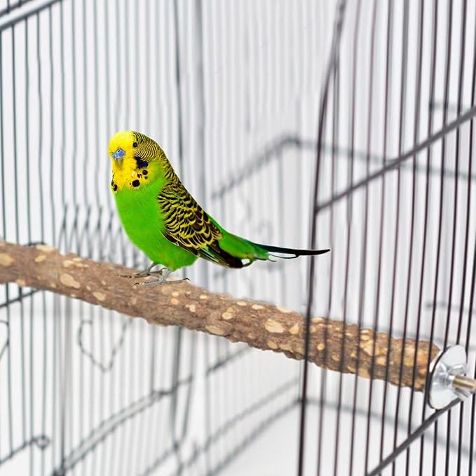 PINVNBY 3Pcs Bird Perches for Cage, Nature Wood Prickly Parrot Stand Toy Paw - Image 7