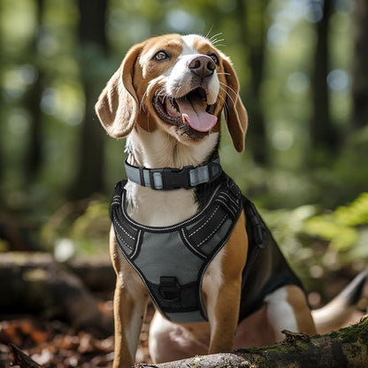 Joytale Reflective Dog Collar, Soft Neoprene Padded, Metal D-Ring, Nylon Pet - Image 2