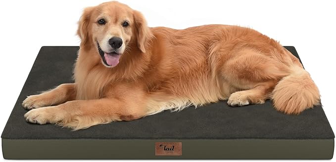 Orthopedic Dog Bed for Extra Large Dogs, XL Comfort Pet Mat for Large Sized Dog by TailStories