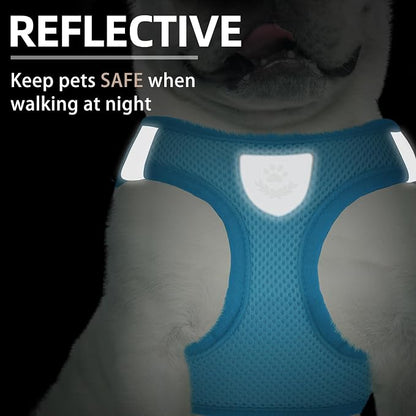 PUPTECK Adjustable Dog Harness Collar and Leash Set Step in No Pull Pet Harness - Image 5