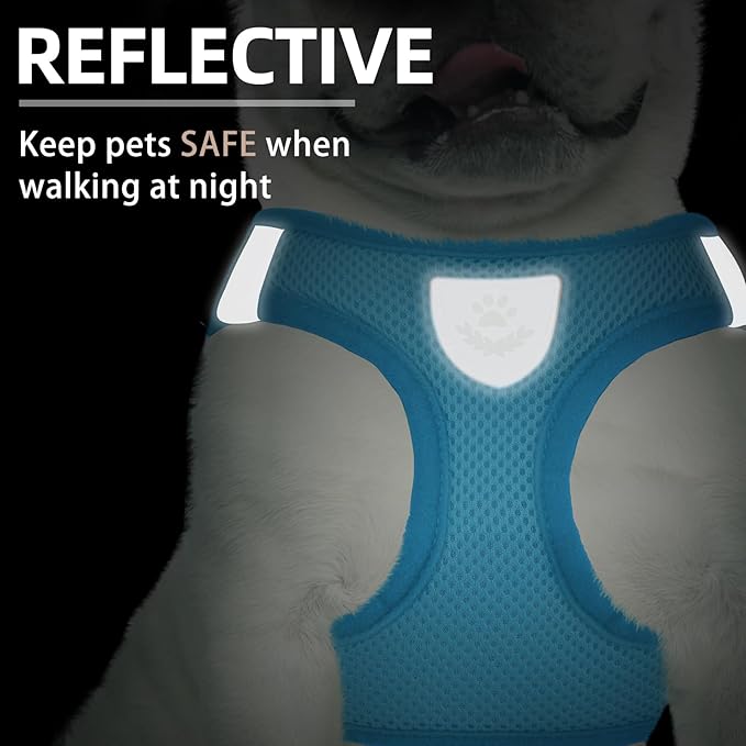 PUPTECK Adjustable Dog Harness Collar and Leash Set Step in No Pull Pet Harness - Image 5