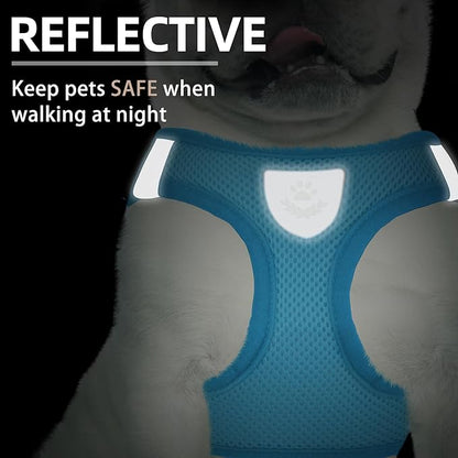 PUPTECK Adjustable Dog Harness Collar and Leash Set Step in No Pull Pet Harness - Image 5