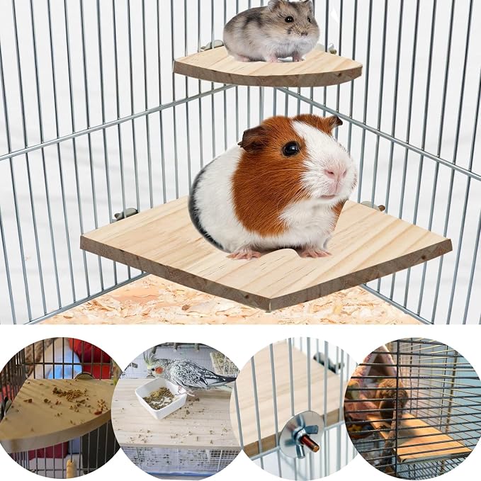 Bird Perch Platform Stand, Wood Perch Bird Platform Parrot Stand Playground - Image 9