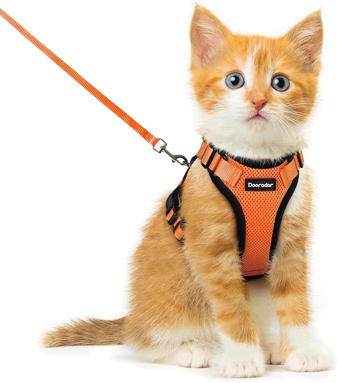 Dooradar Cat Harness and Leash Set, Escape Proof Safe Adjustable Kitten Vest - Image 4