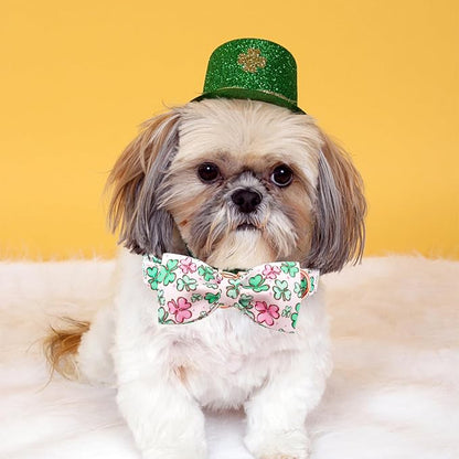 Lionheart glory Dog Bow Collar St. Patrick's Day Dog Collar - Image 5