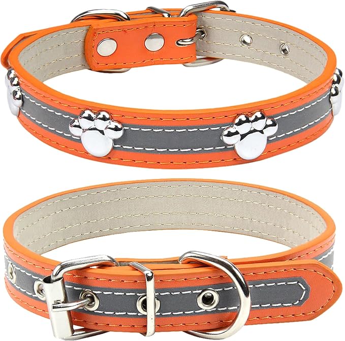 PETCARE Reflective Dog Collar by PETCARE