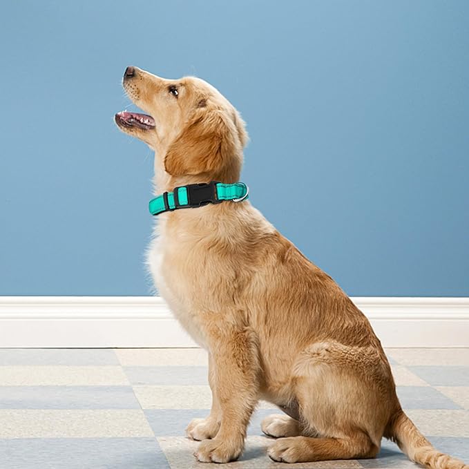 Reflective Dog Collar, Adjustable Soft Neoprene Padded Nylon Pet Collars - Image 2