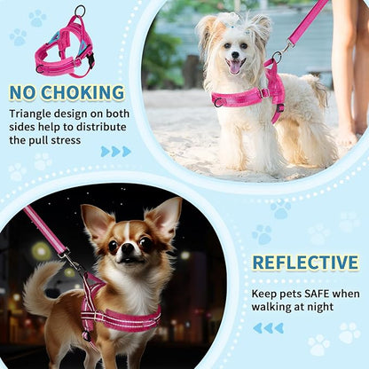SlowTon No Pull Small Dog Harness and Leash Set, Puppy Soft Vest Harness Neck & - Image 3