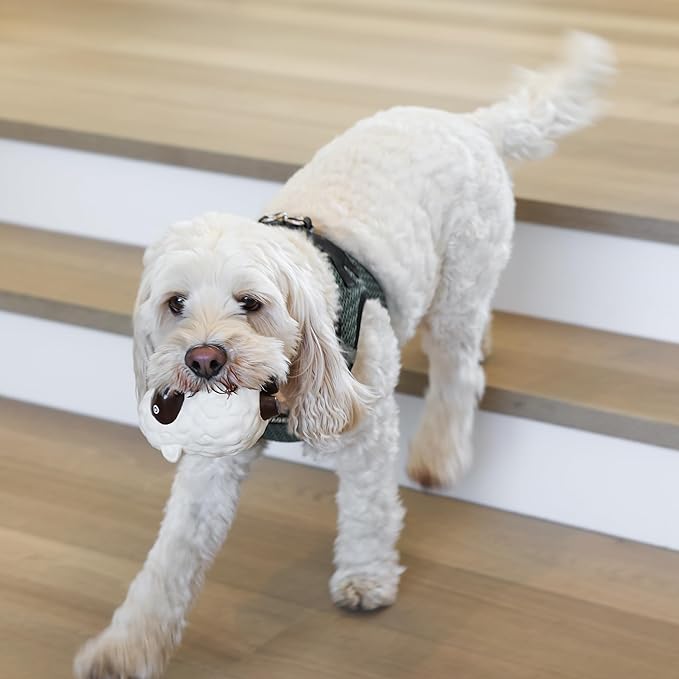 rocket & rex Dog Chew Toy Set for Small to Medium Breeds, Includes All Natural - Image 6