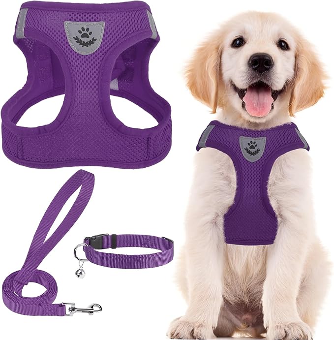 PUPTECK Adjustable Dog Harness Collar and Leash Set Step in No Pull Pet Harness by PUPTECK