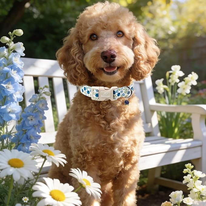 Spring/Summer Dog Collar for Small Dogs - Image 6