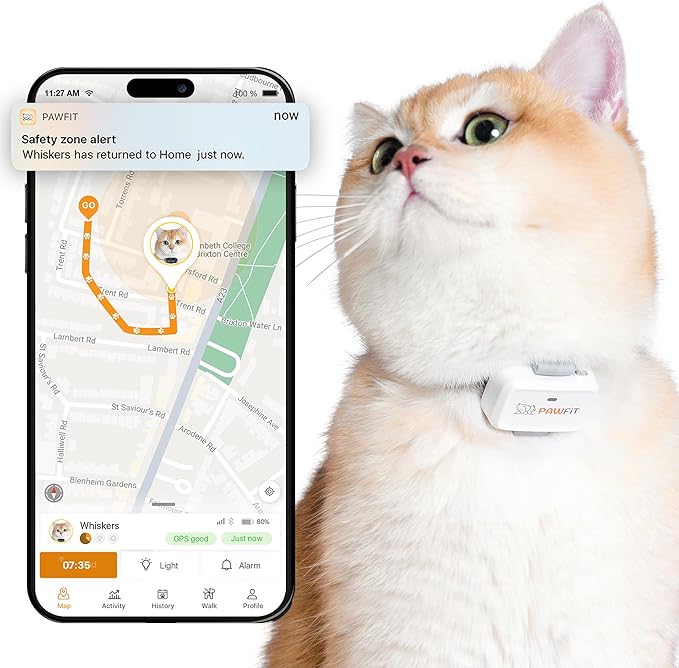 Pawfit Lite for Cats 4g GPS Tracker | Ultra-Small Design | Real-Time Tracking | by Pawfit