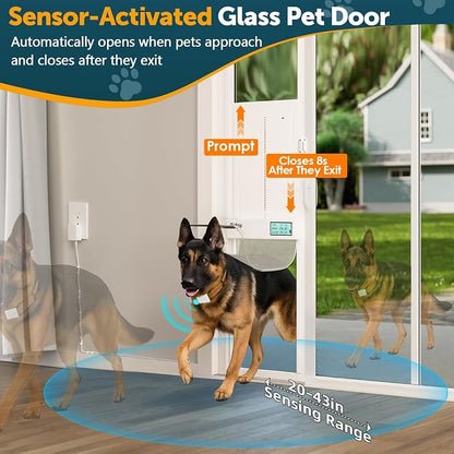 Automatic Sliding Glass Dog Door - Image 5