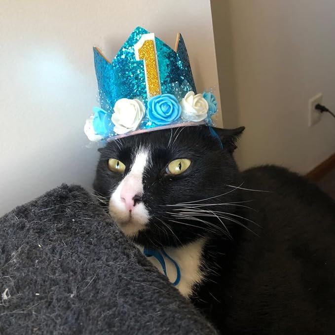 Pet Crown Hat Dog Birthday Reusable Birthday Party Crown - Image 5