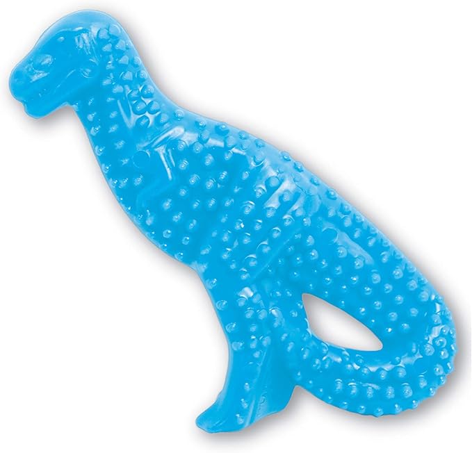 Nylabone Dental Dinosaur Puppy Power Chew Toy, Soothing Puppy Teething Bone by Nylabone