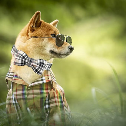 Dog Collar- Plaid Pet Collar Cute Pet Bow Soft Girl or Boy Dog Collars - Image 5