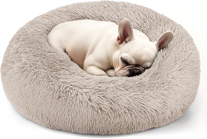 Hoewina Dog & Cat Bed, 20in Cat Beds by Hoewina