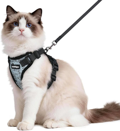 rabbitgoo Cat Harness and Leash by rabbitgoo