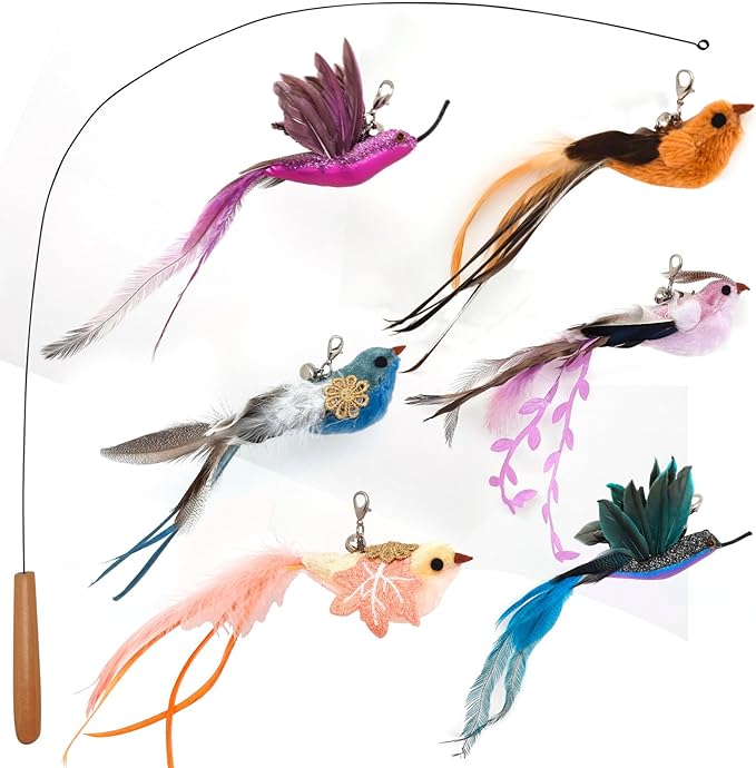 Interactive Cat Toys for Indoor Cats by miwooim