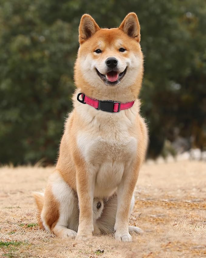 TagME Dog Collar, Adjustable Reflective Nylon Pet Collar - Image 2