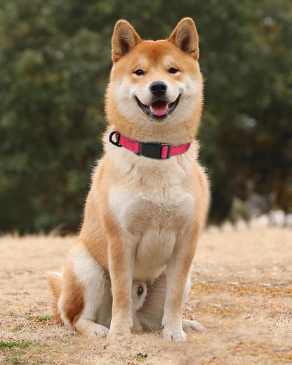 TagME Dog Collar, Adjustable Reflective Nylon Pet Collar - Image 2