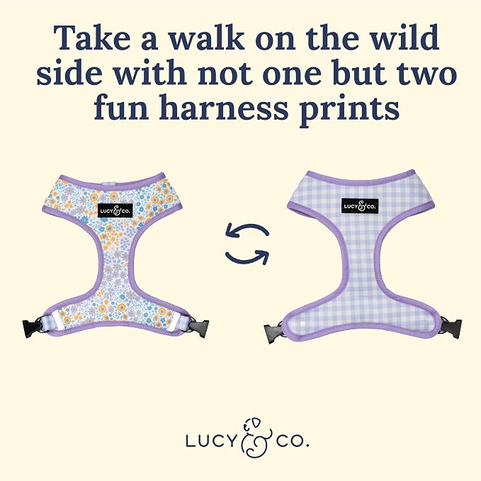 Lucy & Co. Cute Reversible Dog Harness Walking Halter - Image 3