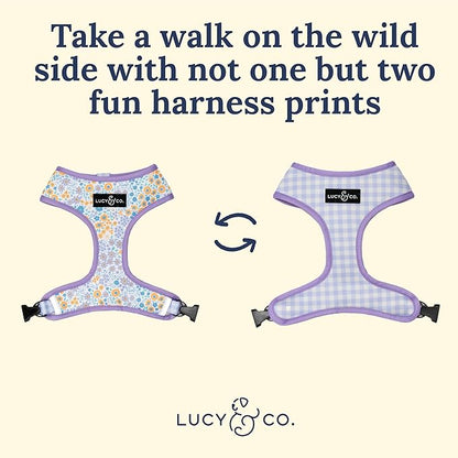 Lucy & Co. Cute Reversible Dog Harness Walking Halter - Image 3